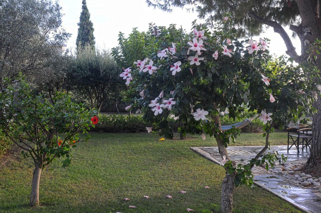 קלמאטה Messinian Blue Seaside Villa מראה חיצוני תמונה